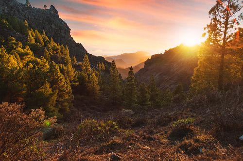 Roque Nublo
