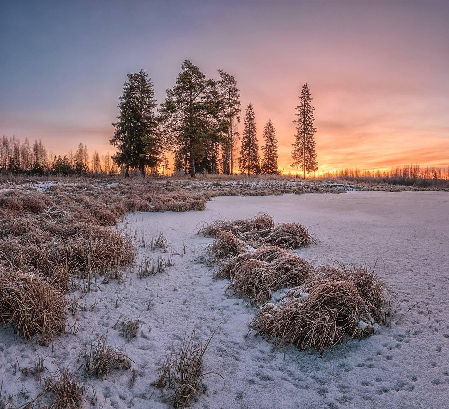 , Николай Андреев