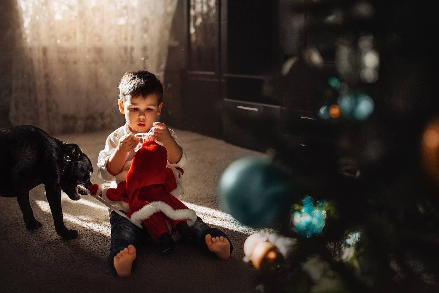 мальчик, собака, новый год, дед мороз, елка, кусь, шарик, свет, луч, , Ангелина Косова