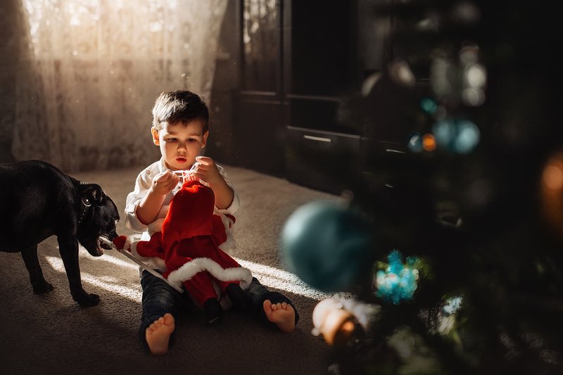 мальчик, собака, новый год, дед мороз, елка, кусь, шарик, свет, луч,   фото превью