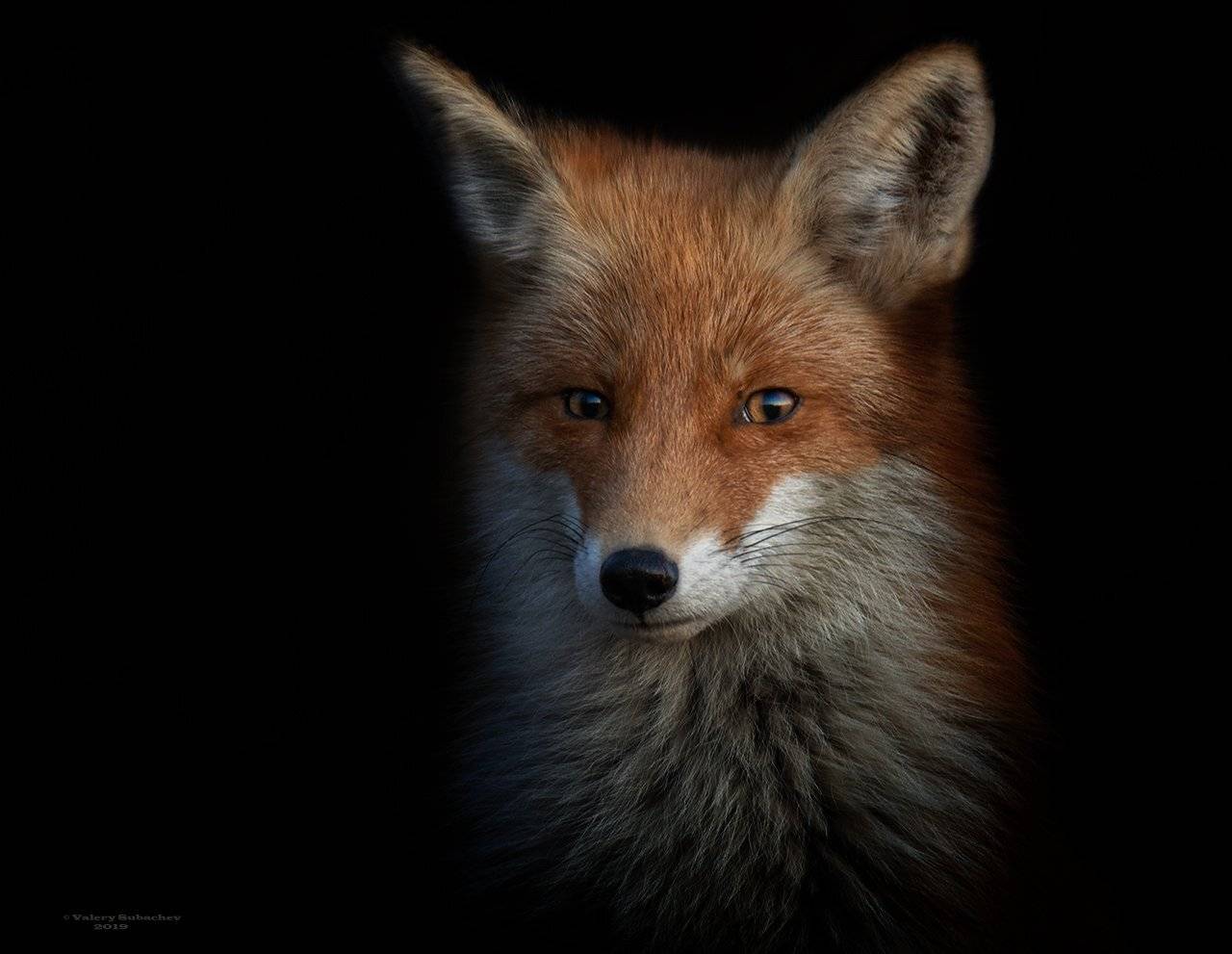 , Валерий Субачев