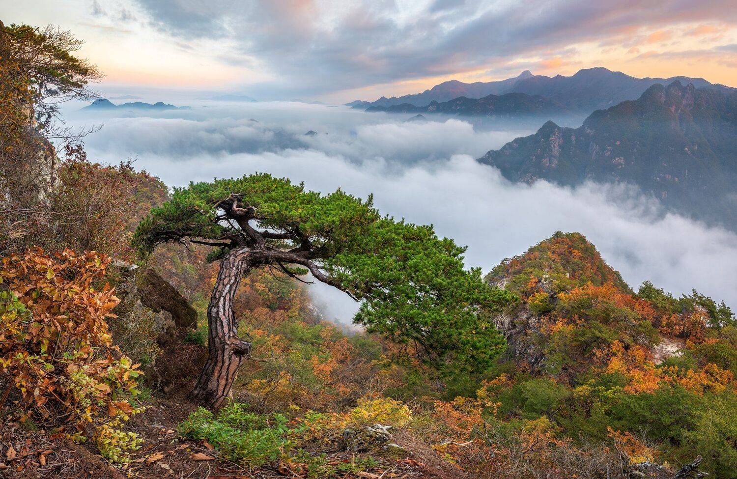 , Jaeyoun Ryu