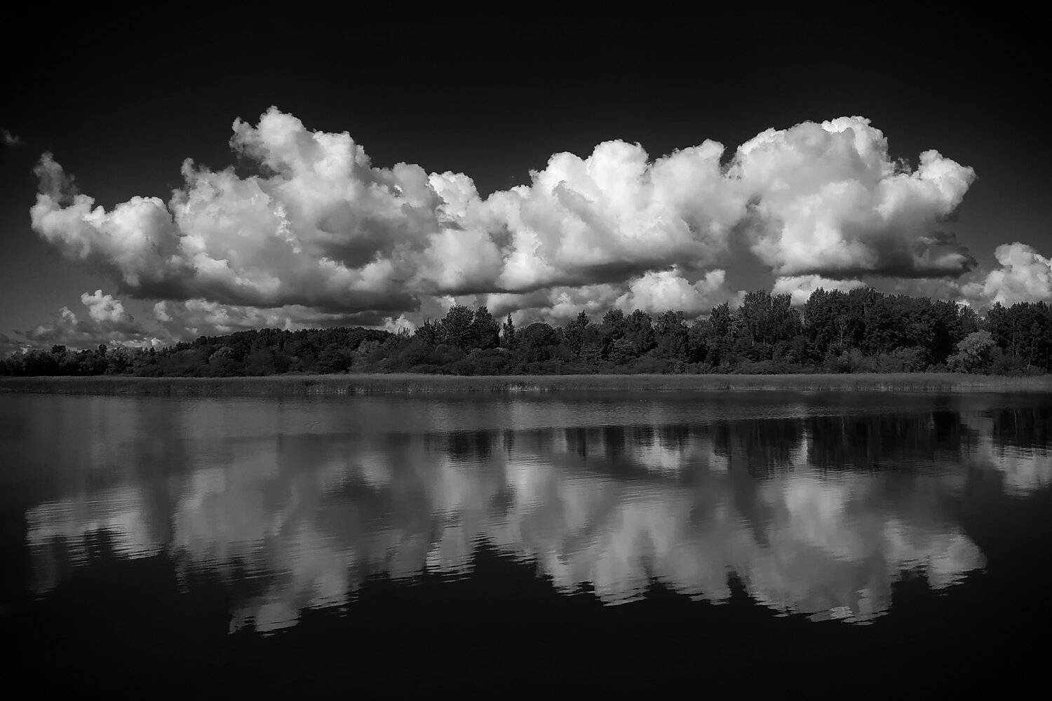 , Федотов Антон