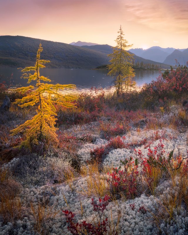 озеро, колыма, озероджекалондона, закат По колымской перине из мха фото превью