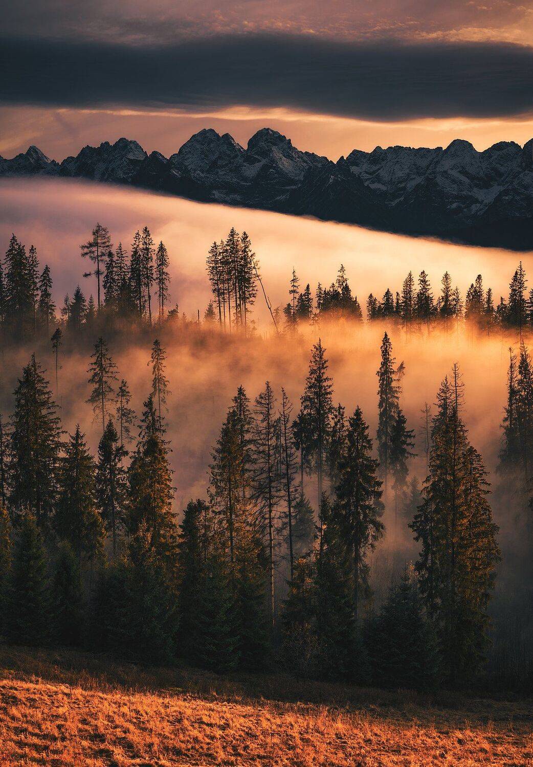 sunset, colorful, amazing, place, tatra, mountains, love, nature, globalshotz, forest, orange, clouds, Jakub Witos