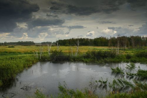Местами дождь