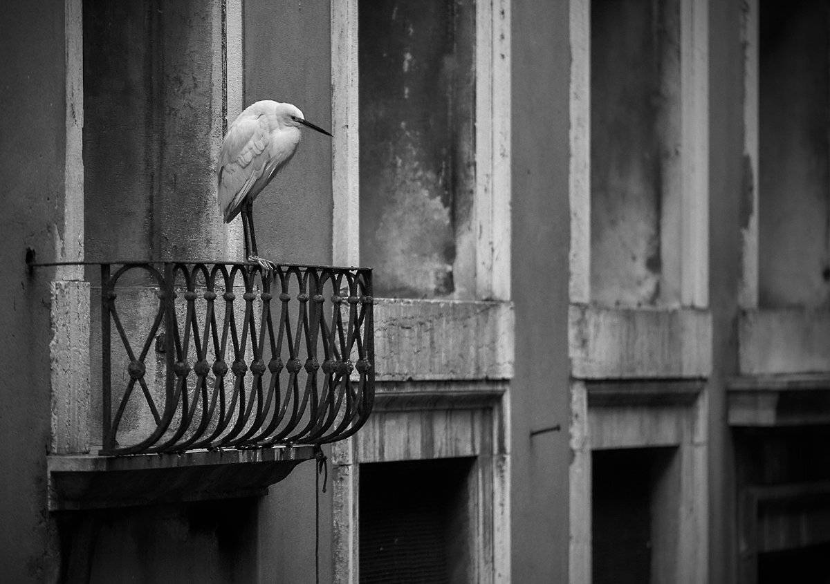 Кончилось лето...   , Boris Bekelman