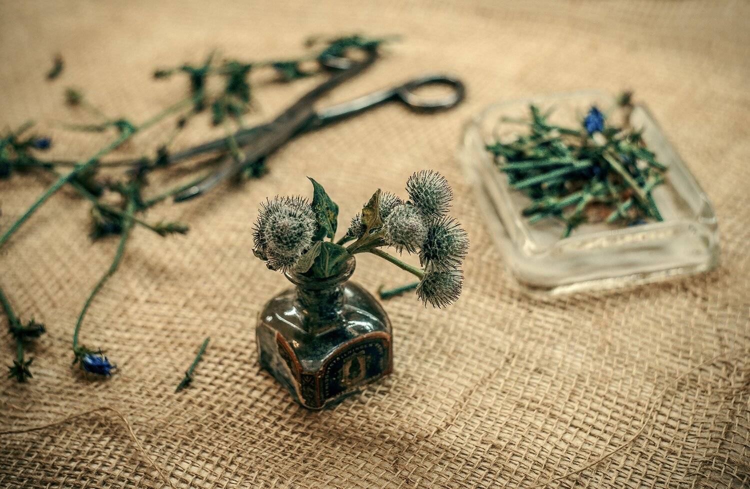 , Рут Андрей