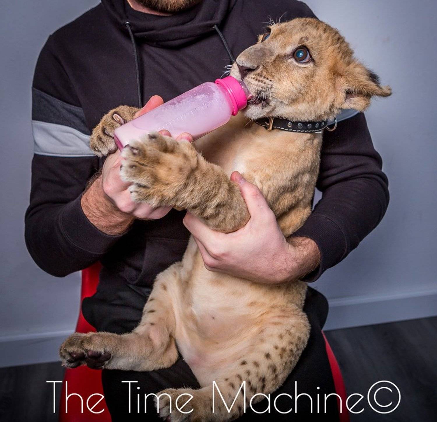 , Михаил Бове