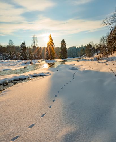 Зимняя река