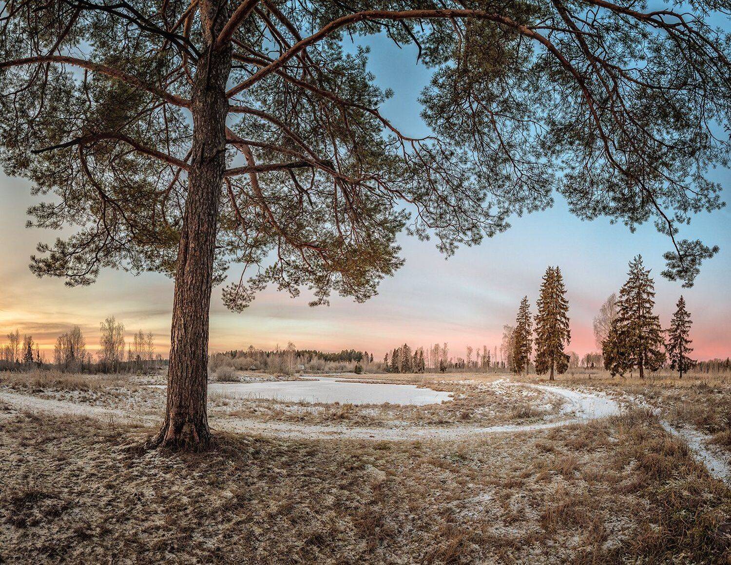 , Николай Андреев