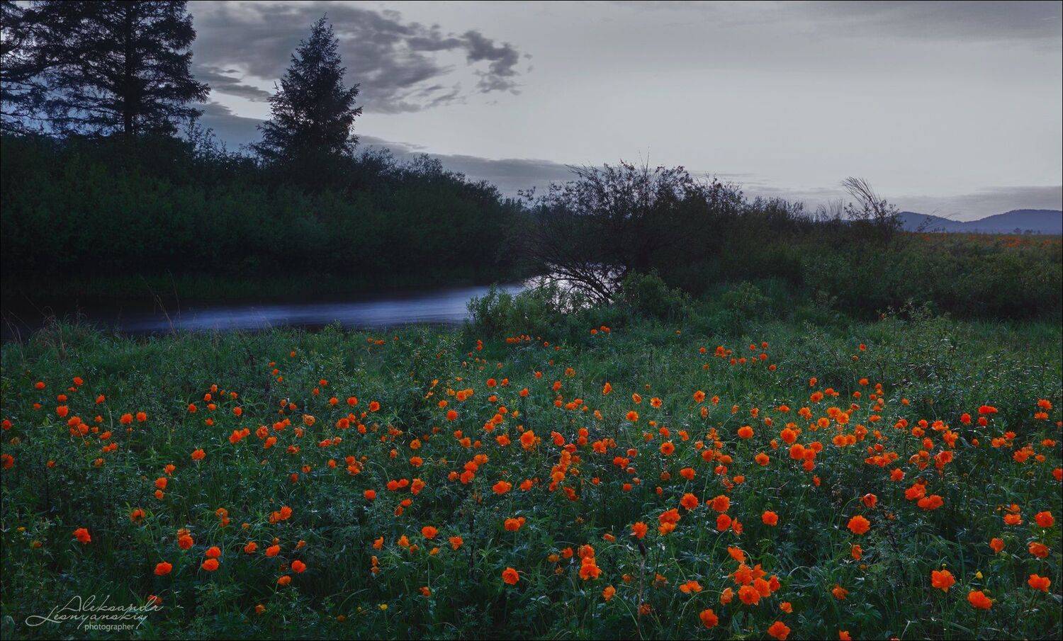 забайкальский край, Александр Леснянский