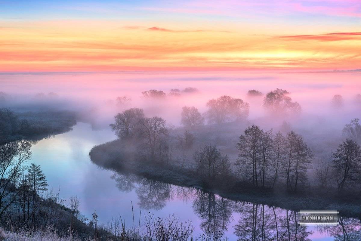 , Андрей Cоколов