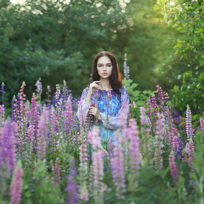 лето, люпины, цветение, девушка с люпинами, сиреневый  фото превью