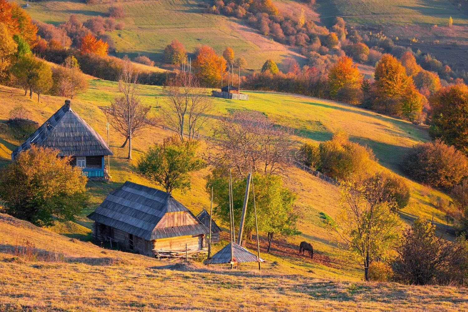 карпаты. осень, Татьяна Степанова