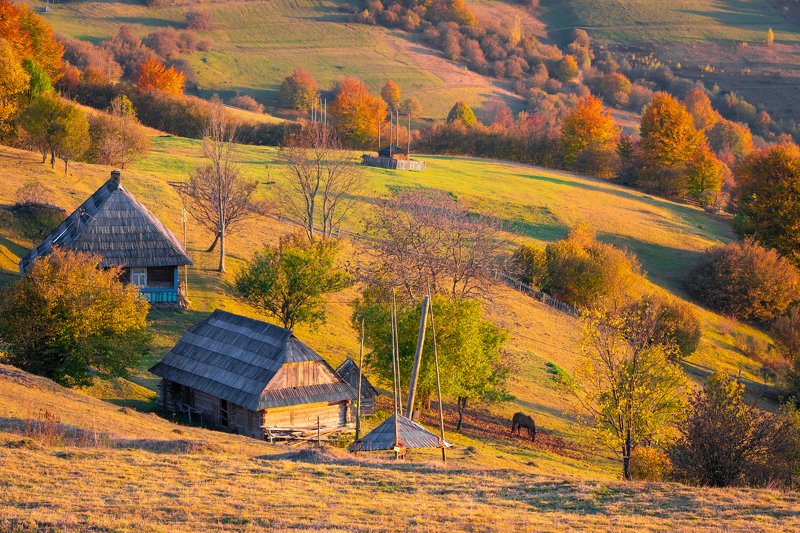 карпаты. осень Карпаты фото превью