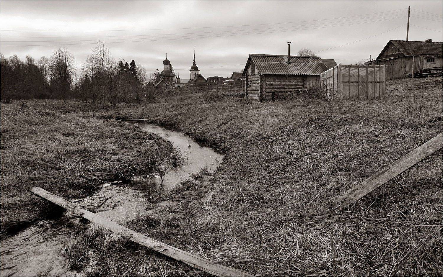 весна, май, кенозерский парк, монохром, сепия,, Victor Pechenev