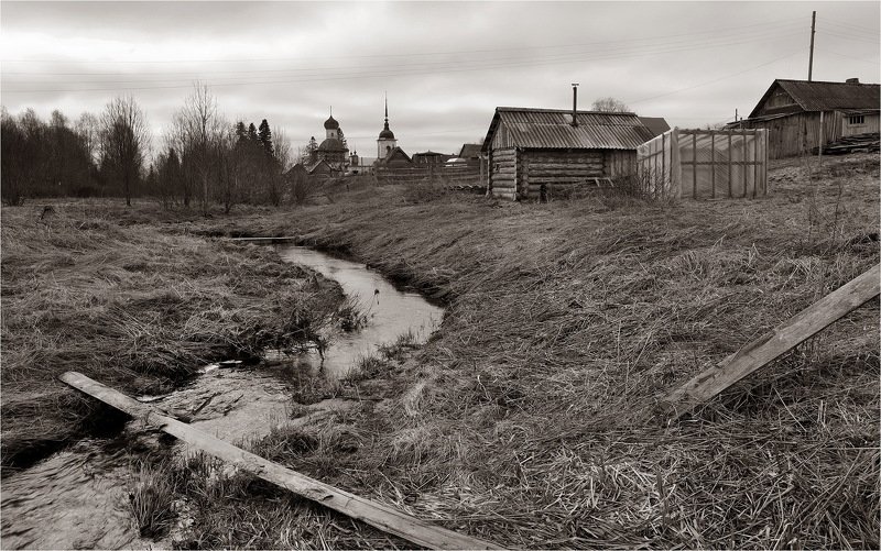 весна, май, кенозерский парк, монохром, сепия, Бежит ручей. фото превью