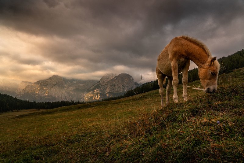 Завтракая в Альпах  фото превью