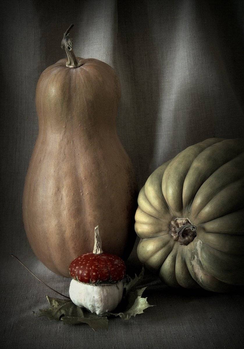 сергей алексеев, Сергей Алексеев