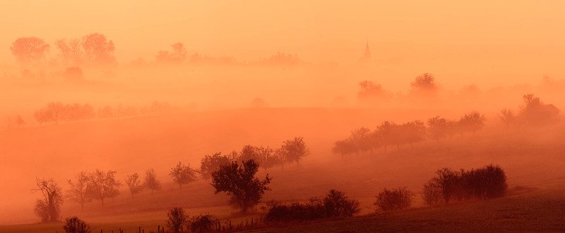 Golden fog фото превью