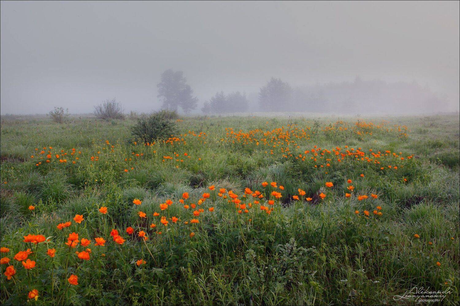 забайкальский край, Александр Леснянский