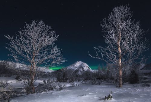 Хибины. Серебро в лунном свете.