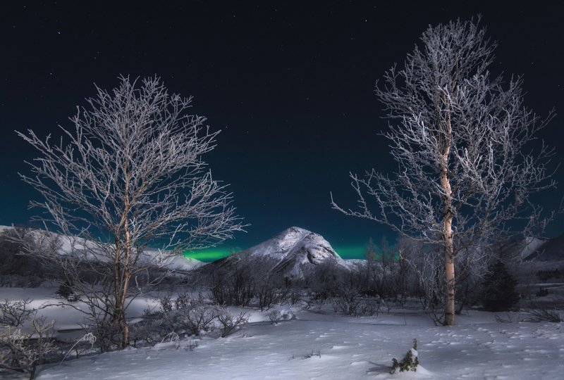 Хибины. Серебро в лунном свете. фото превью