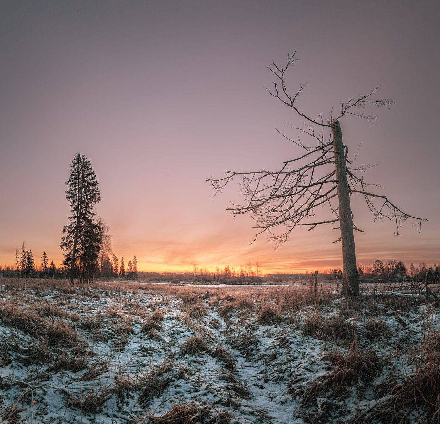 , Николай Андреев