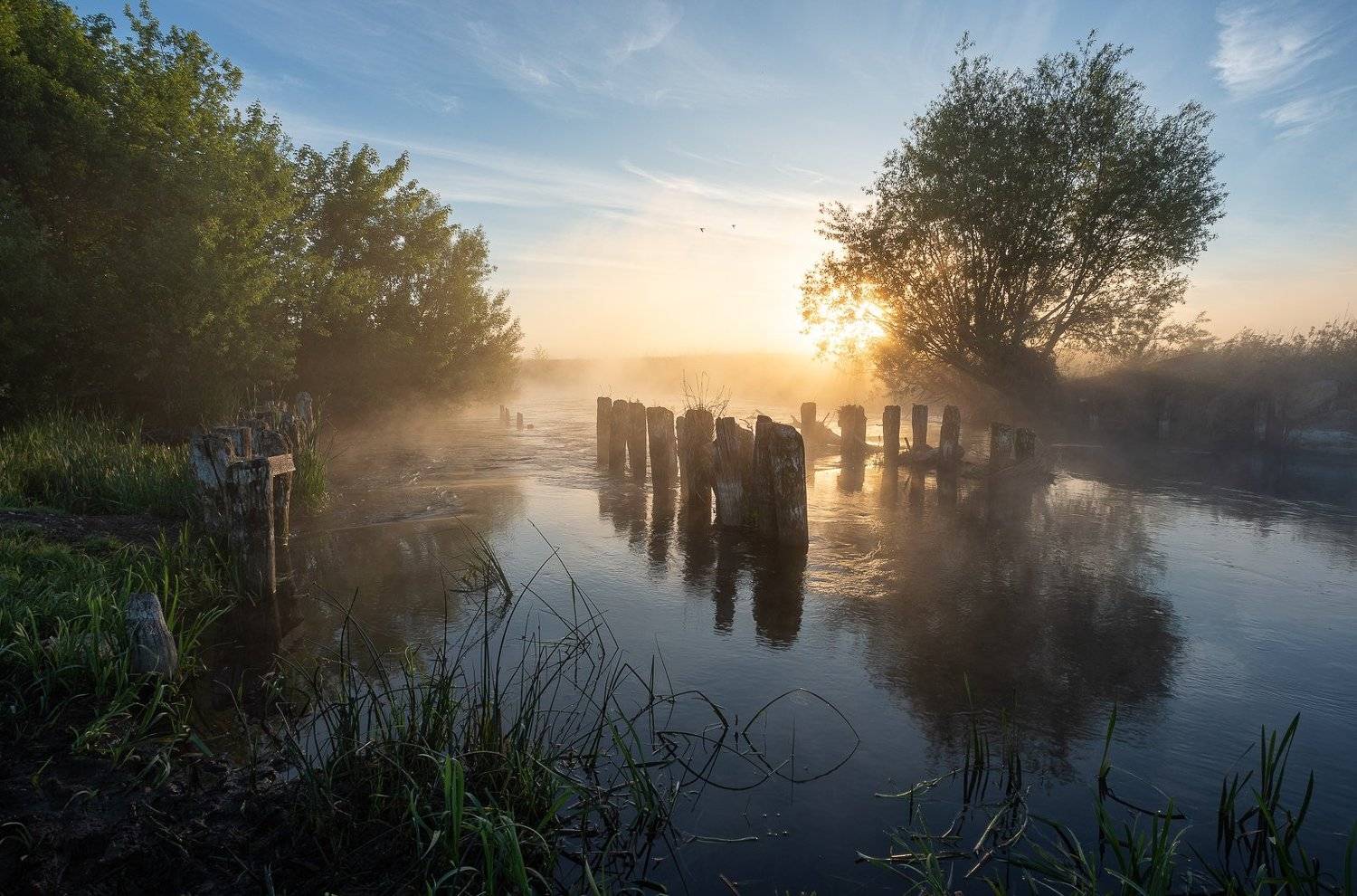 , Александр Бредихин