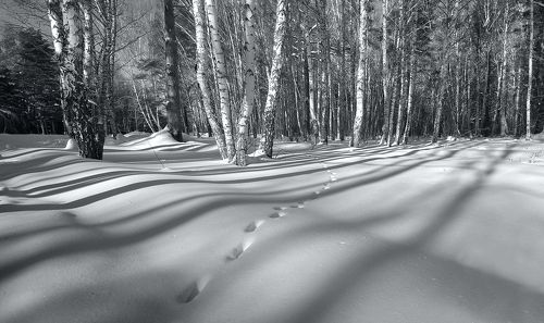 Мелодия зимы