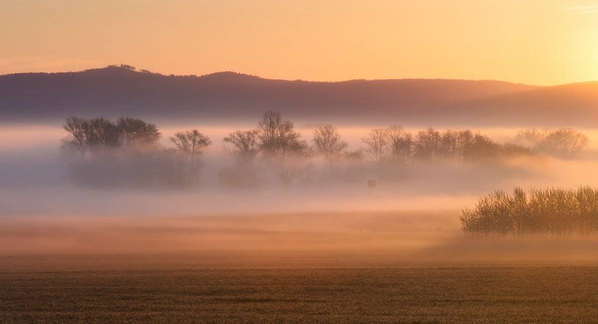 landscape, tree, sunrise, panorama, fog, Petr Fiala