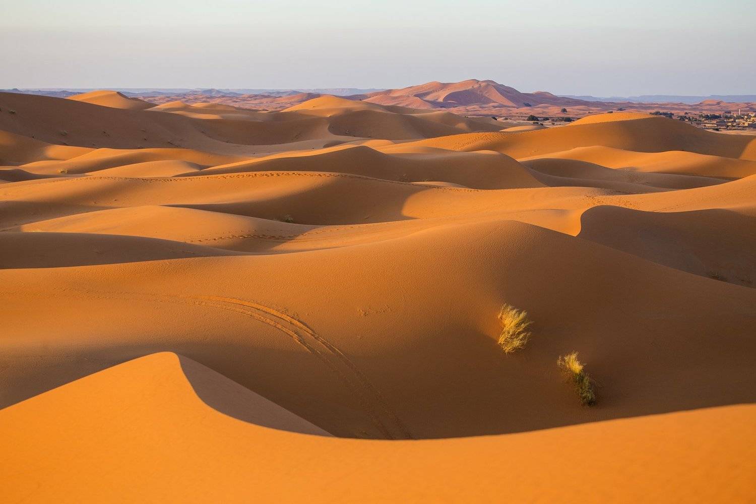 , Валерий Степанюк