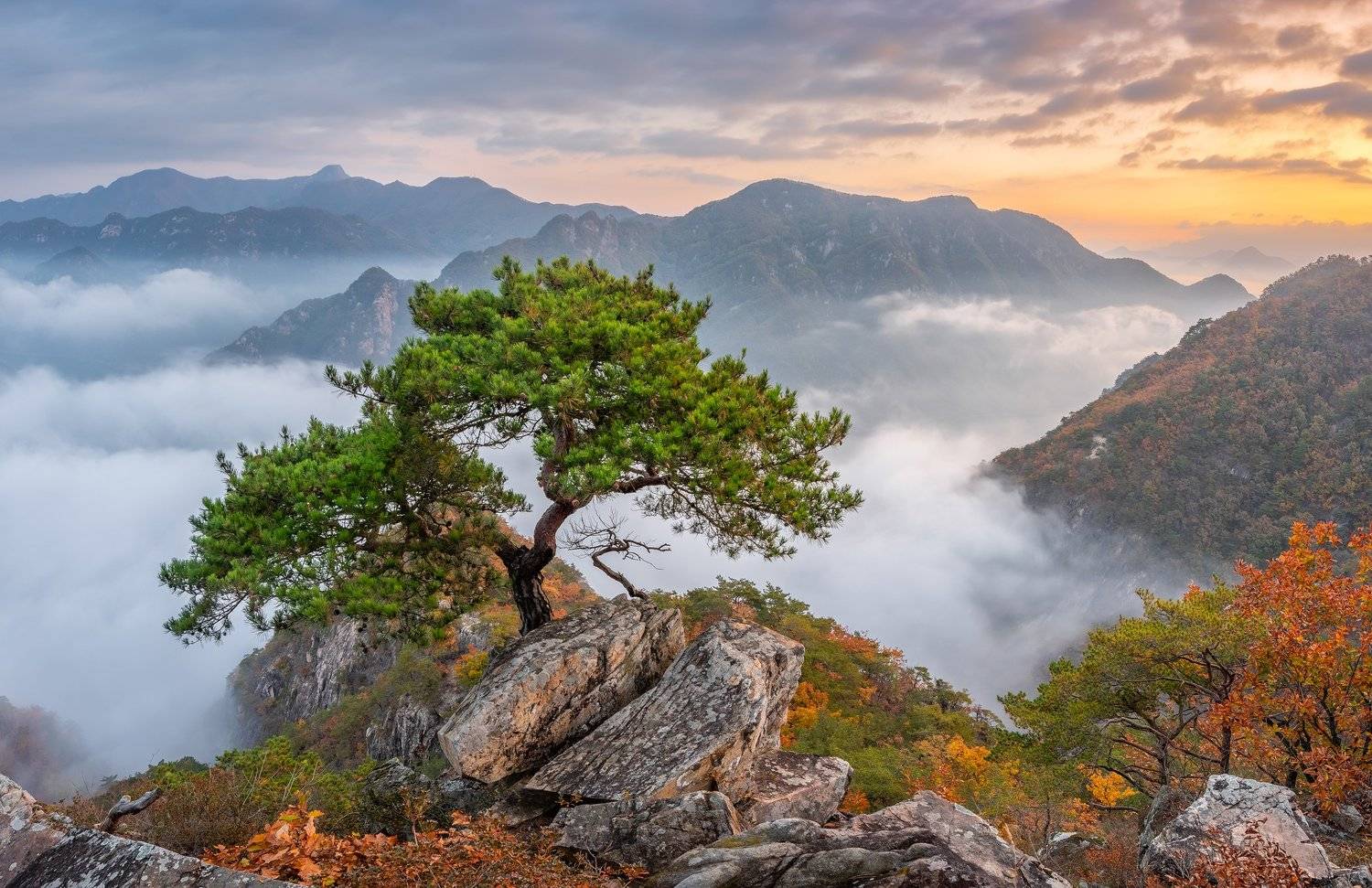 mountains,peak,hiking,fog,clouds,autumn, Jaeyoun Ryu