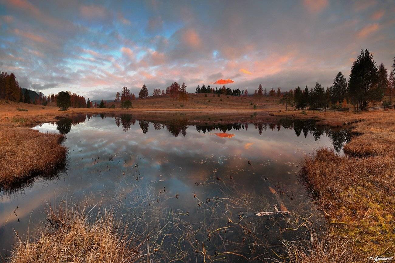 swiss, Матвеев Николай