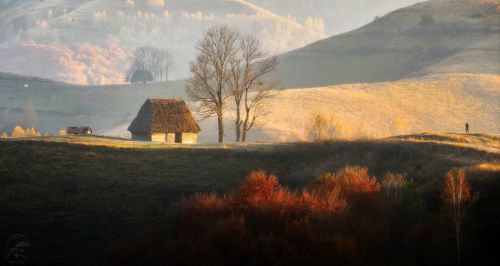 Зазеркалье