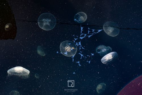 Beyond of space science - За пределами космической науки