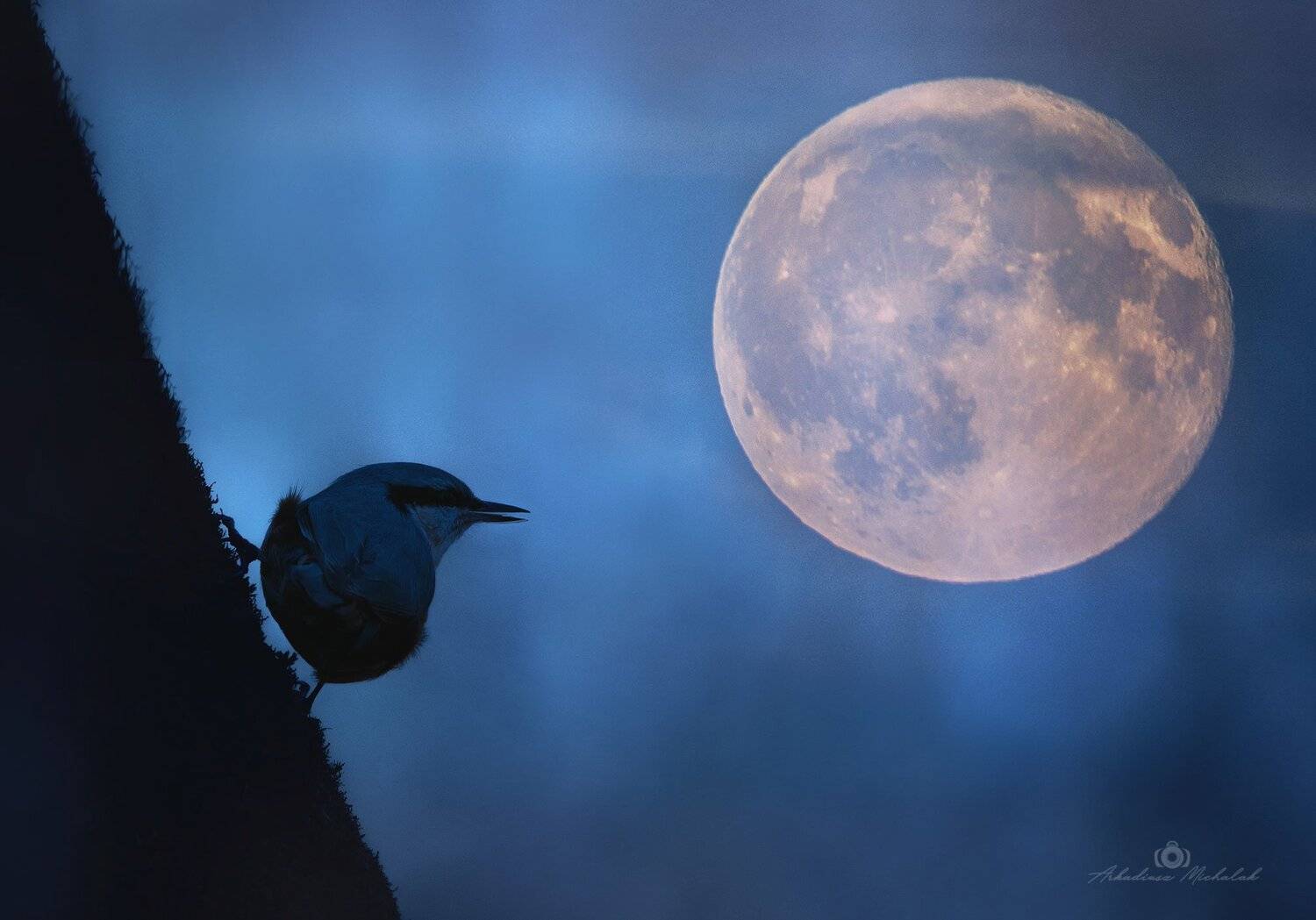 , Arkadiusz Michalak