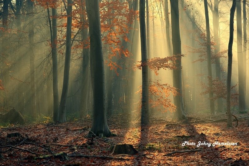 The end of autumn фото превью