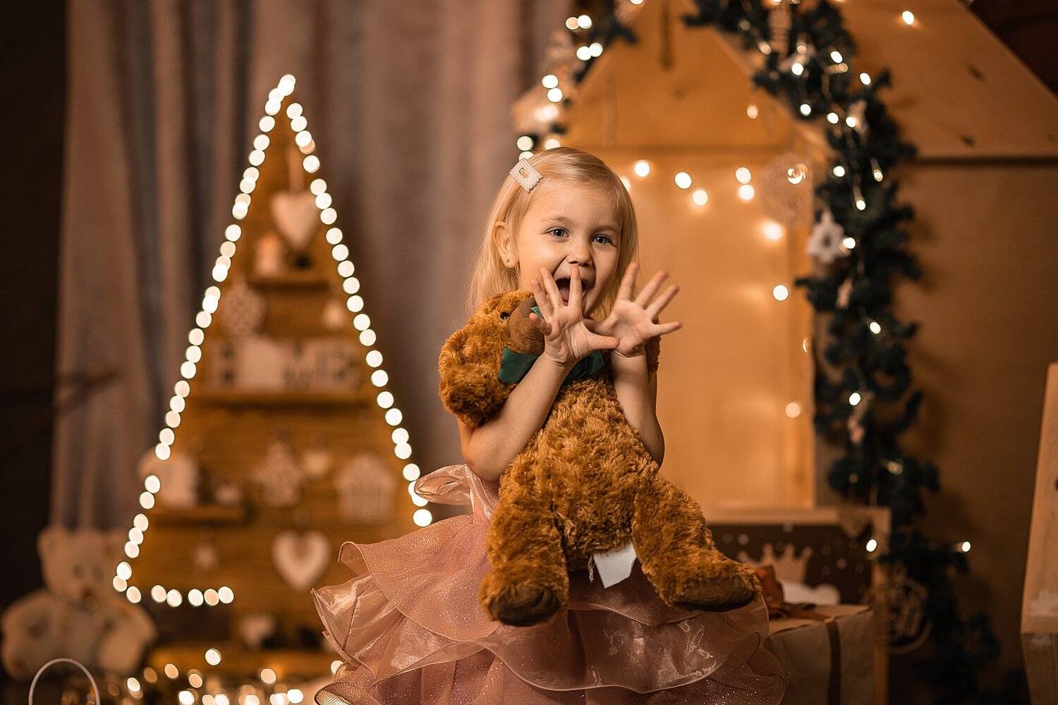 девочка, фотосессия, портрет, студия, игрушка, новый год 2020, Владимир Васильев