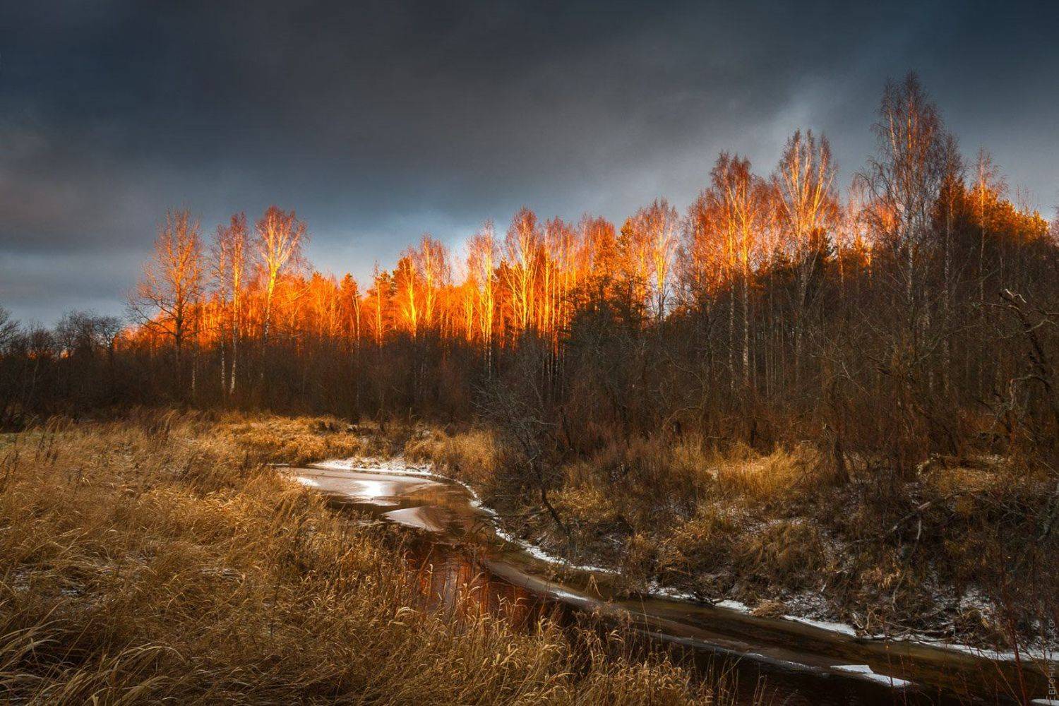 , Евгений Луцко