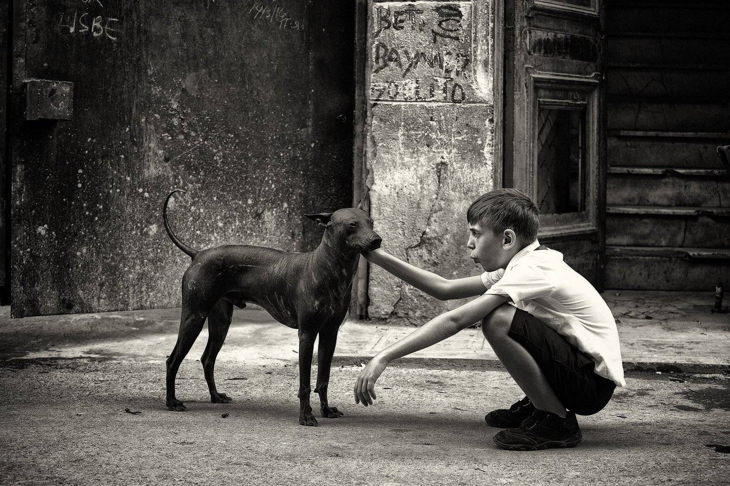 , Рашид Усманов