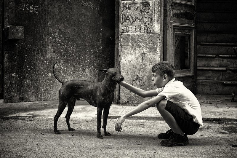 Друзья фото превью