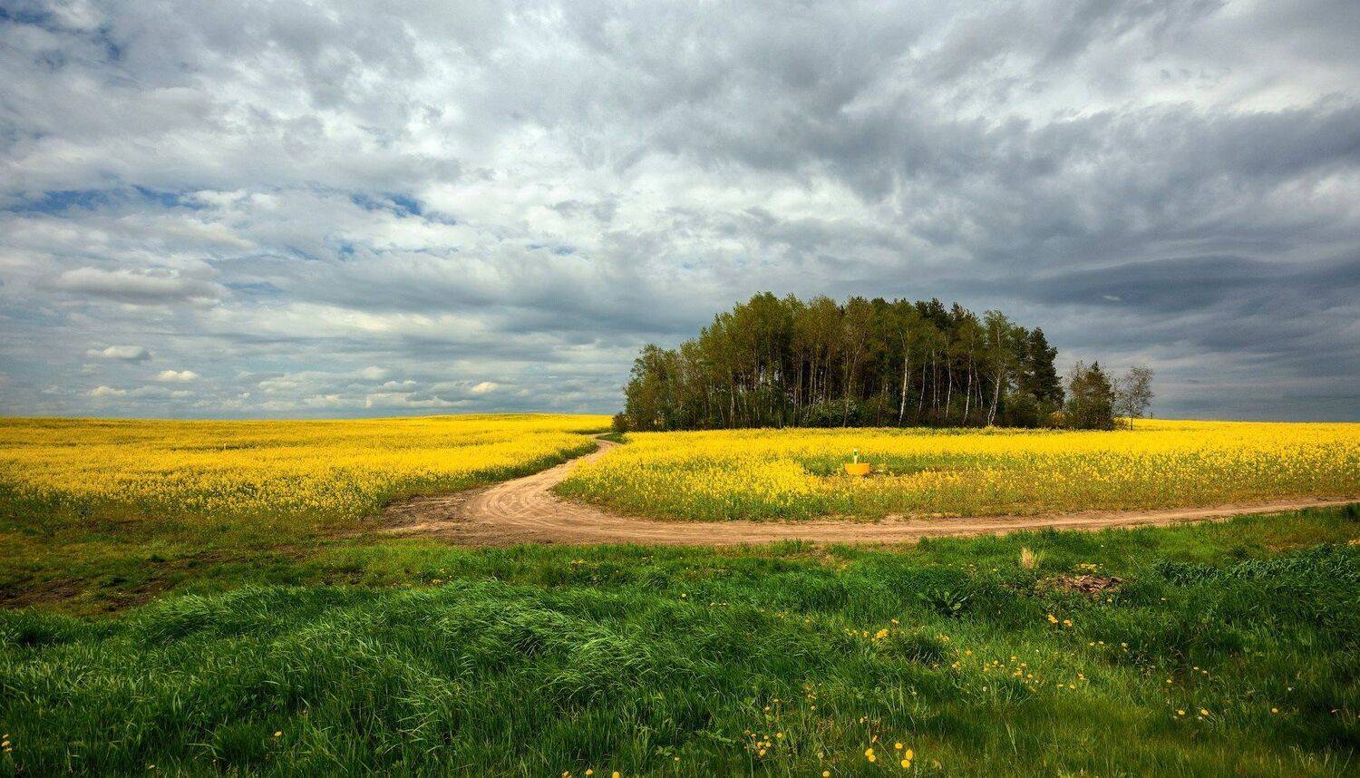 , Сергей Харитон