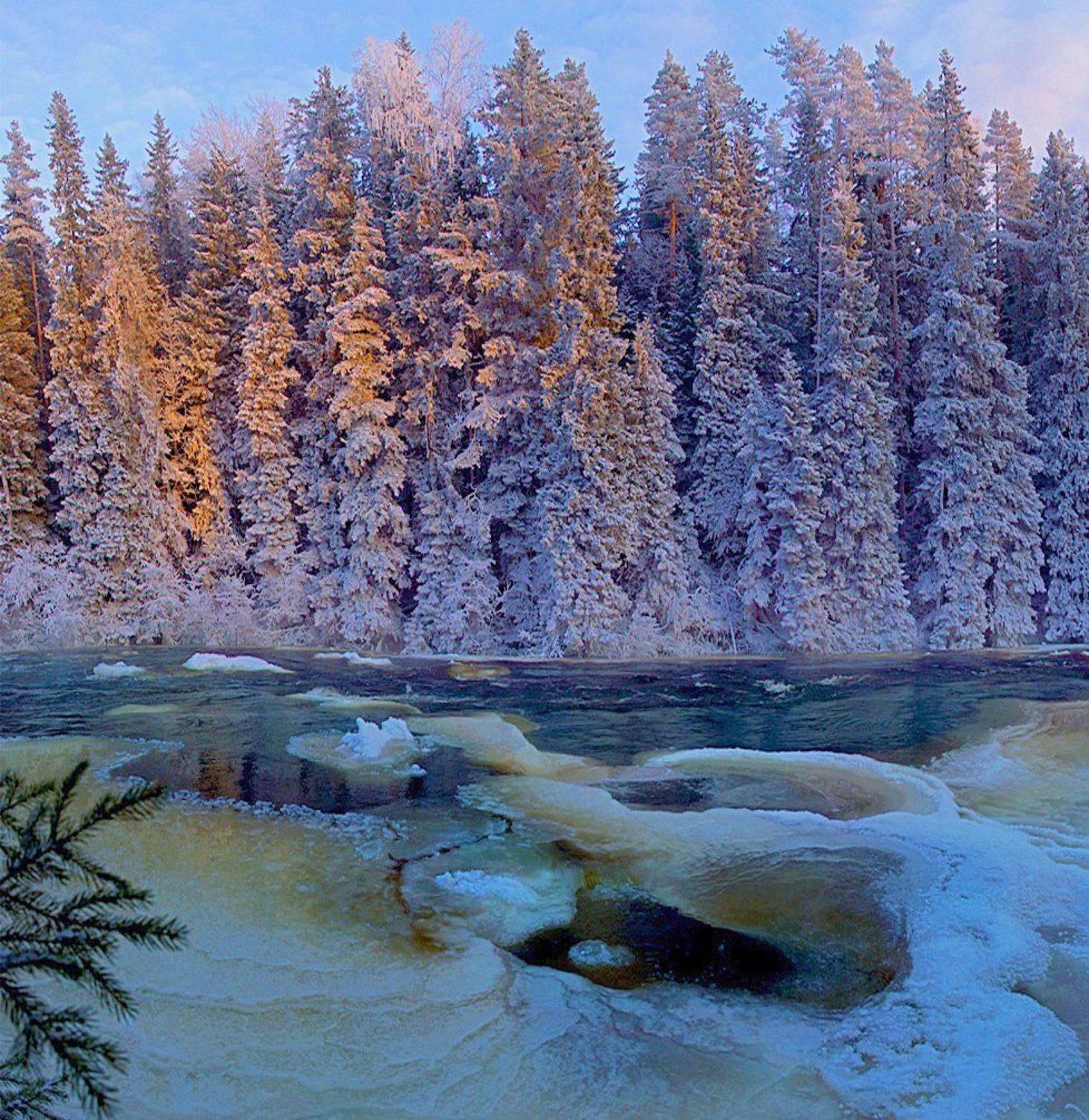 , Петр Косых