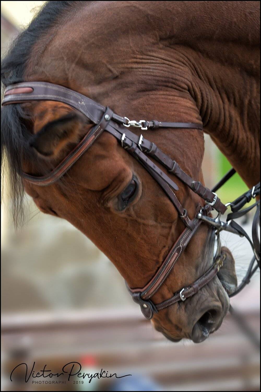 , Виктор Перякин