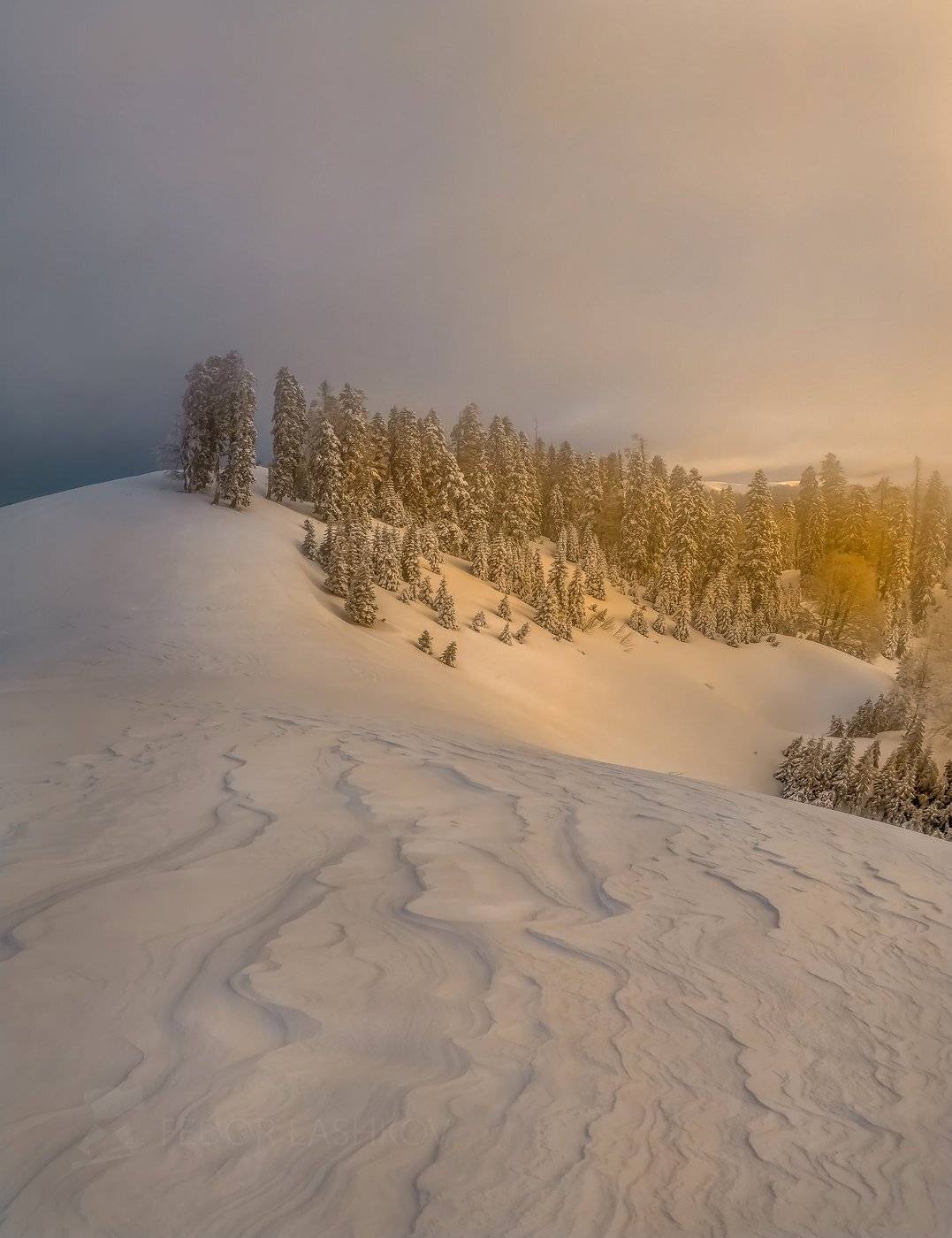 абхазия, путешествие, туризм, горы, зима, лес, туман, горы, в горах, мамдзышха, пихта, снег, узоры, склоны, рассвет, в снегу,, Лашков Фёдор