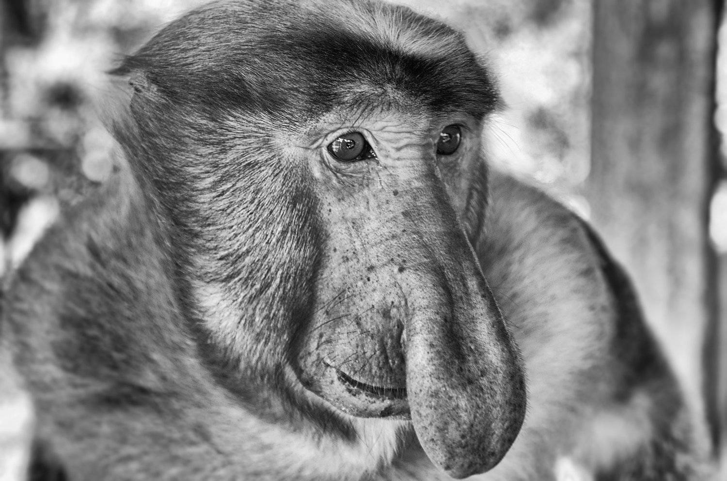 , Дмитрий Петренко