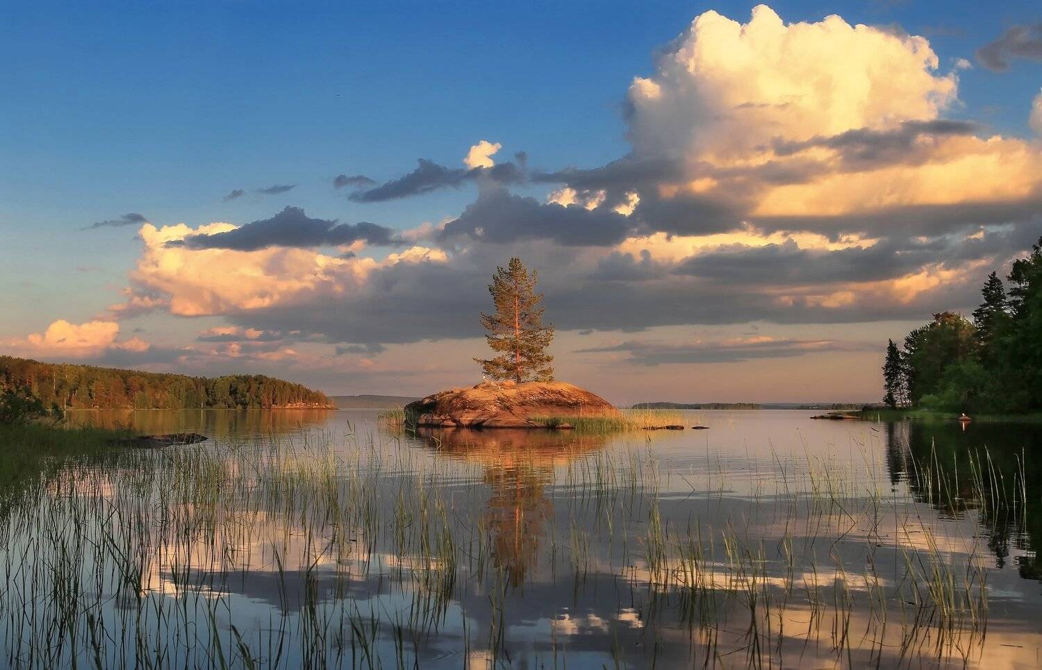 лето, карелия, пейзаж, природа, Дмитрий Петухов