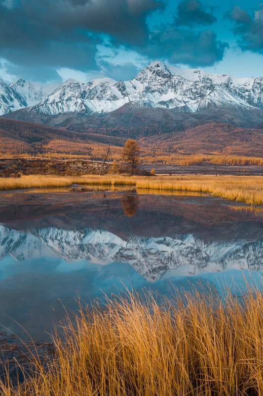 алтай, осень, золотая осень, горы, пейзаж, утро Утро фото превью